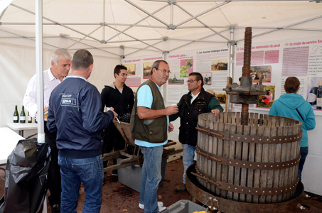 La fête des vendanges côté raisin